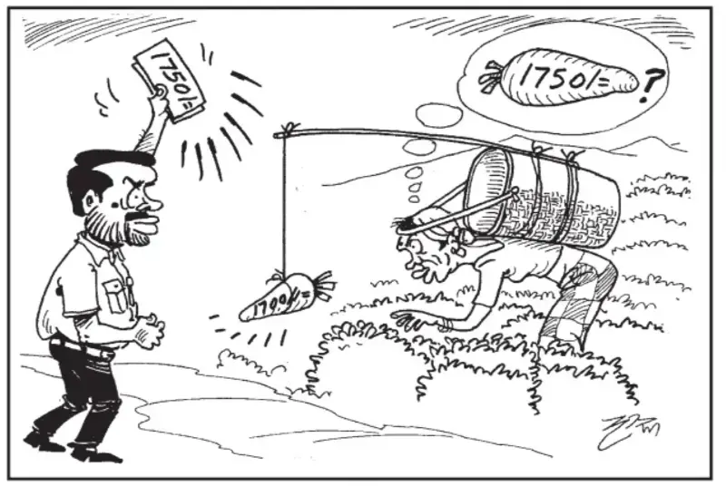 gossiplanka image 27