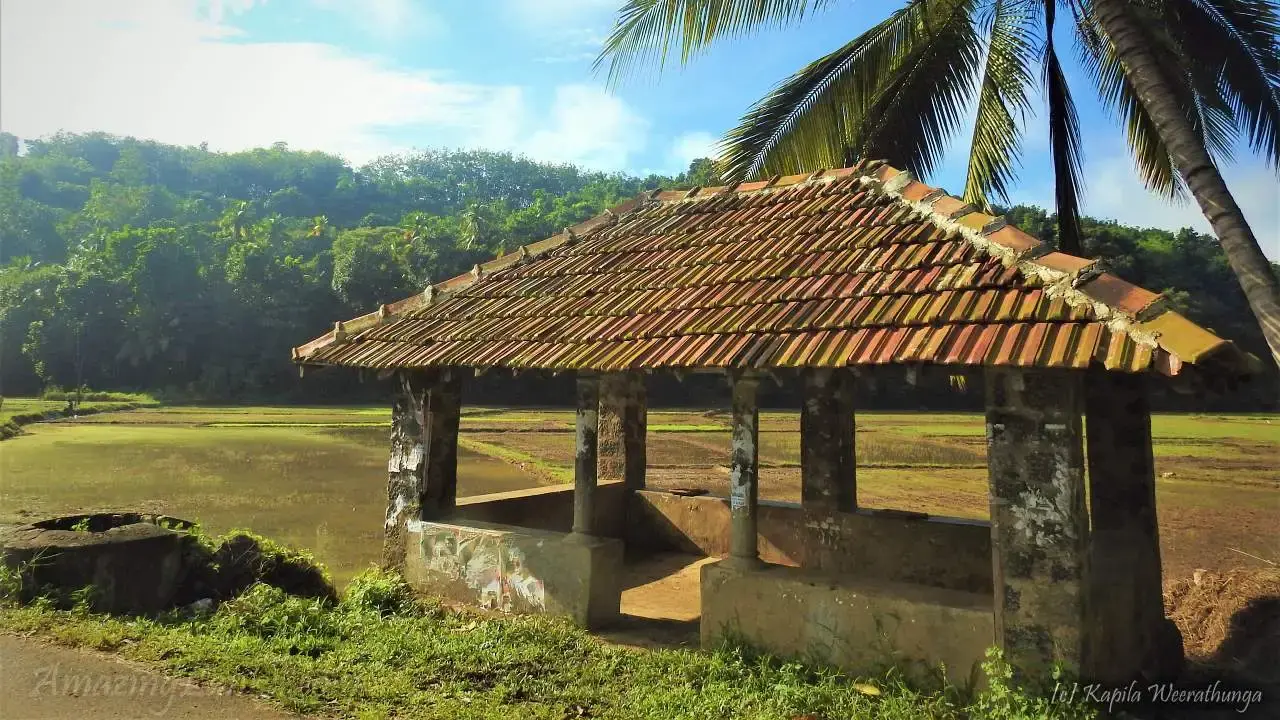 gossiplanka image 1 gossiplanka image 1