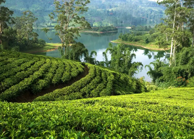 gossiplanka image 1 gossiplanka image 1