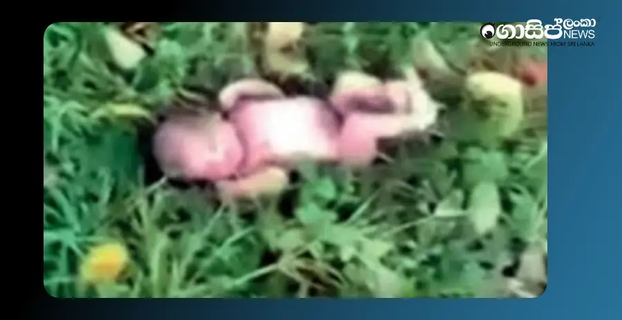 the-babys-parents-are-still-missing