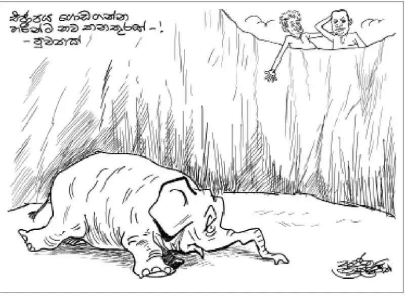 gossiplanka image 24