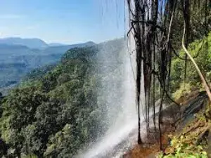 gossiplanka image 1 gossiplanka image 1