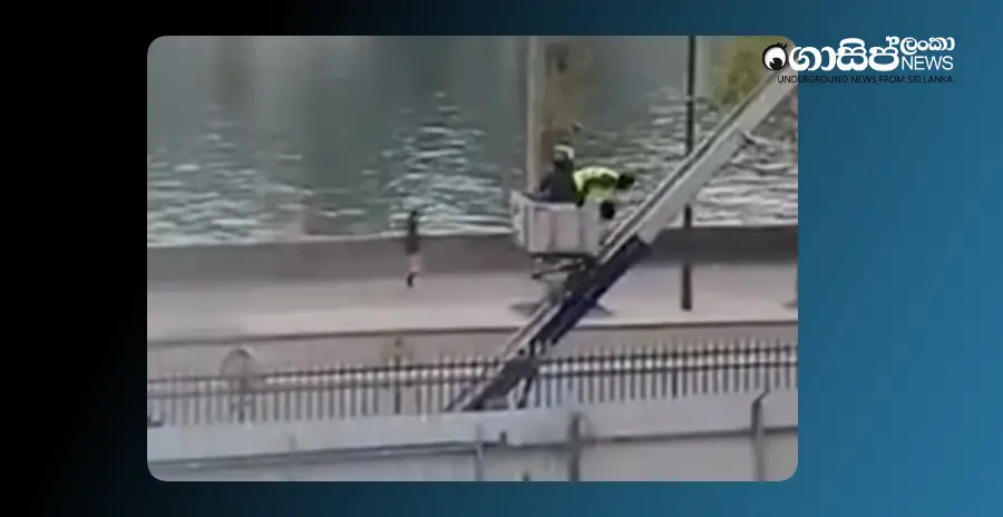 how-thieves-escaped-from-the-louvre-museum-in-paris-video