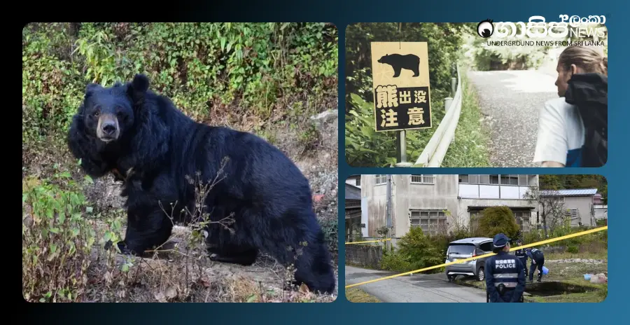 one-person-dies-in-a-snake-attack-in-japan