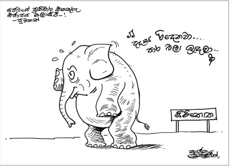 gossiplanka image 24