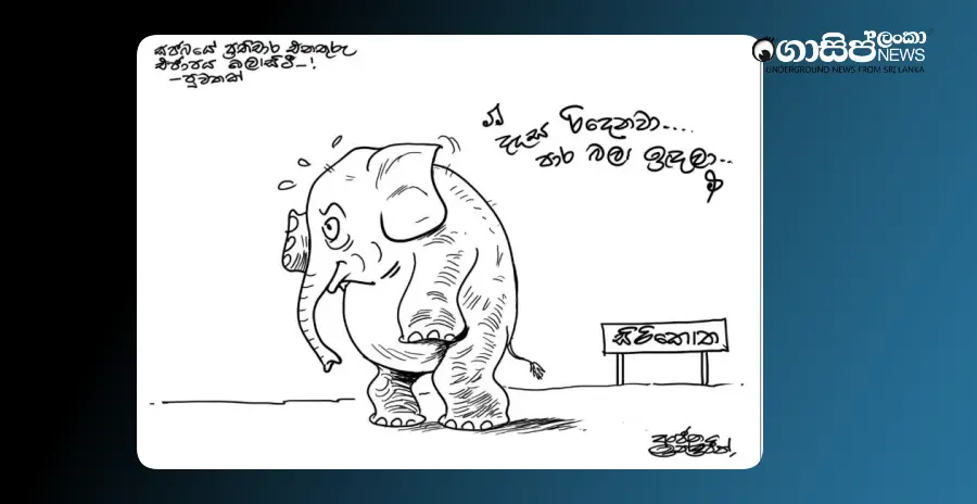 the-elephant-is-sad-because-of-the-delay-monday-cartoon