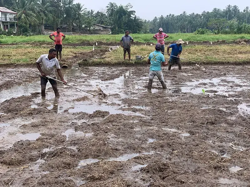 gossiplanka image 1 gossiplanka image 1