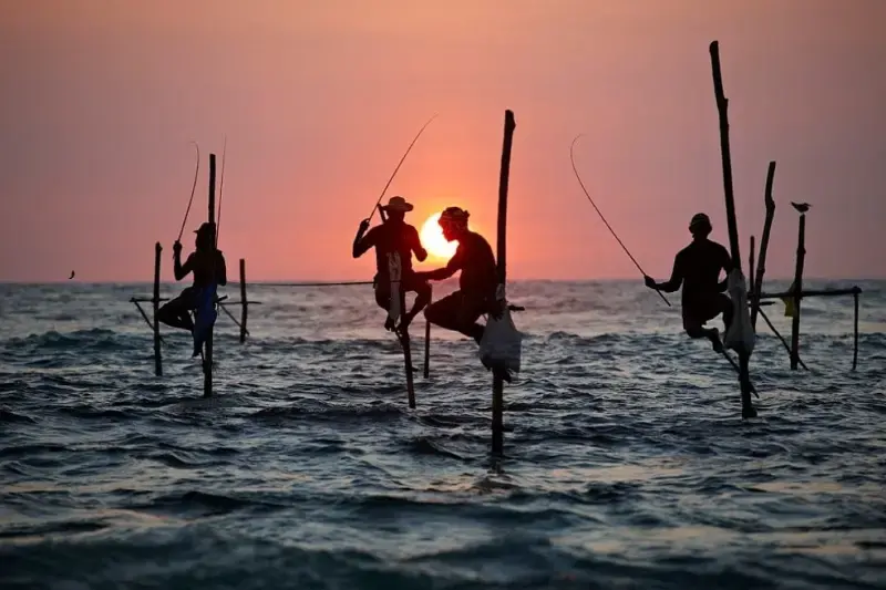 gossiplanka image 1 gossiplanka image 1