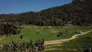 gossiplanka image 1 gossiplanka image 1