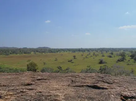 gossiplanka image 1