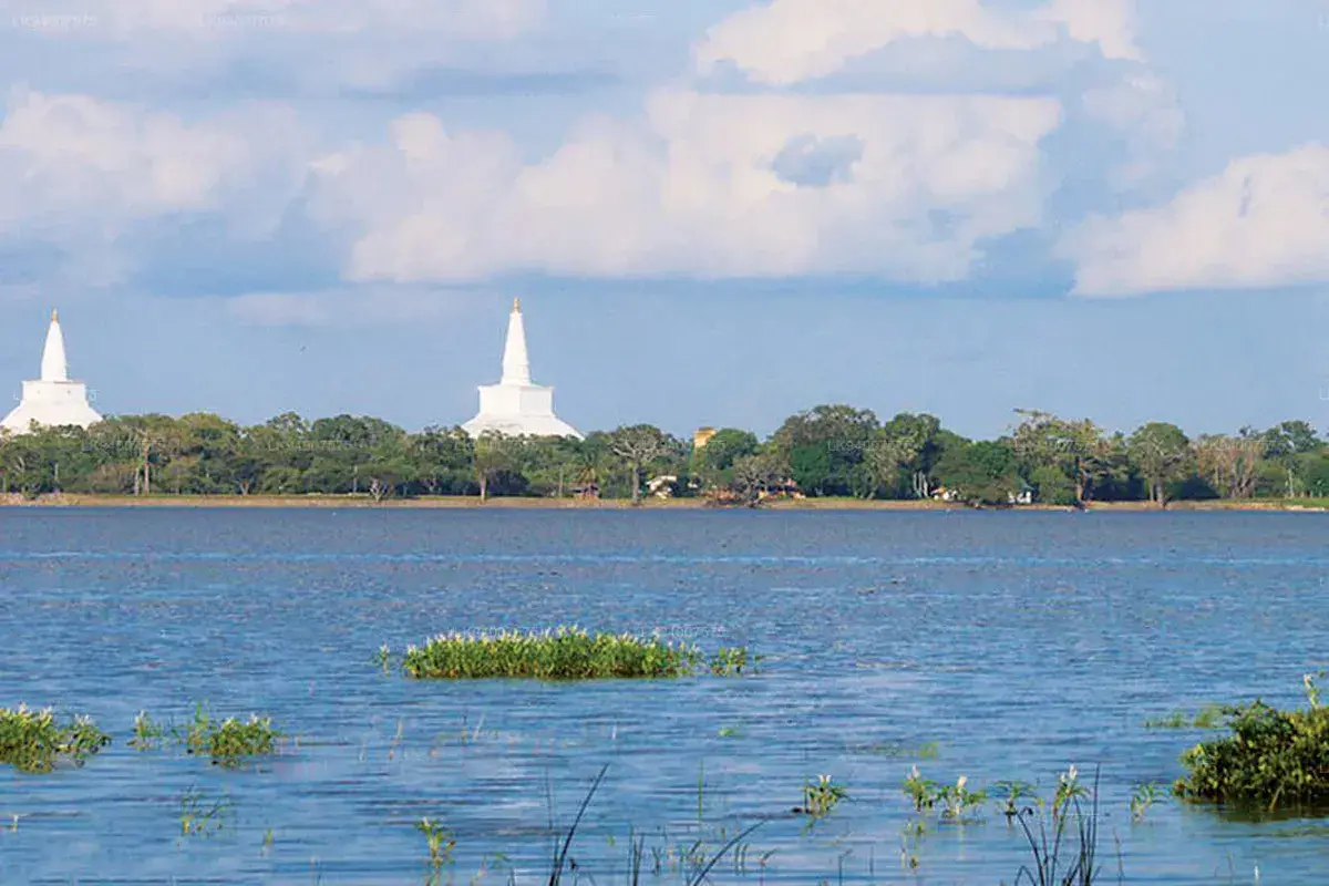 gossiplanka image 1