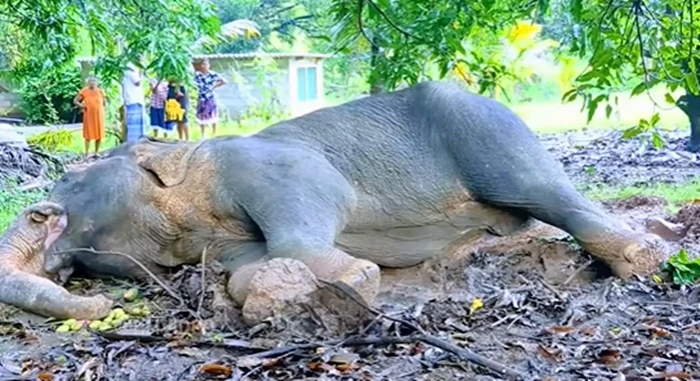 news-2025-12-22-142413