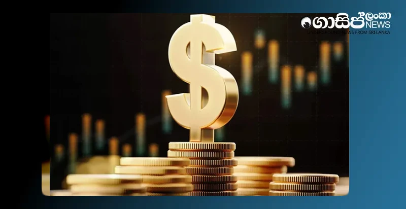 sri-lanka-rupee-dollar-stable