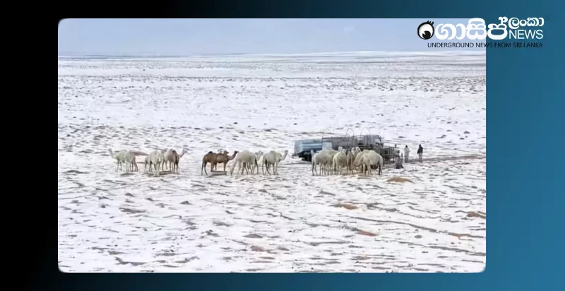 saudi-arabia-gets-snow-after-30-years-photos