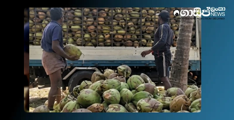 arrested-for-illegally-entering-a-house-and-stealing-ten-peeled-coconuts