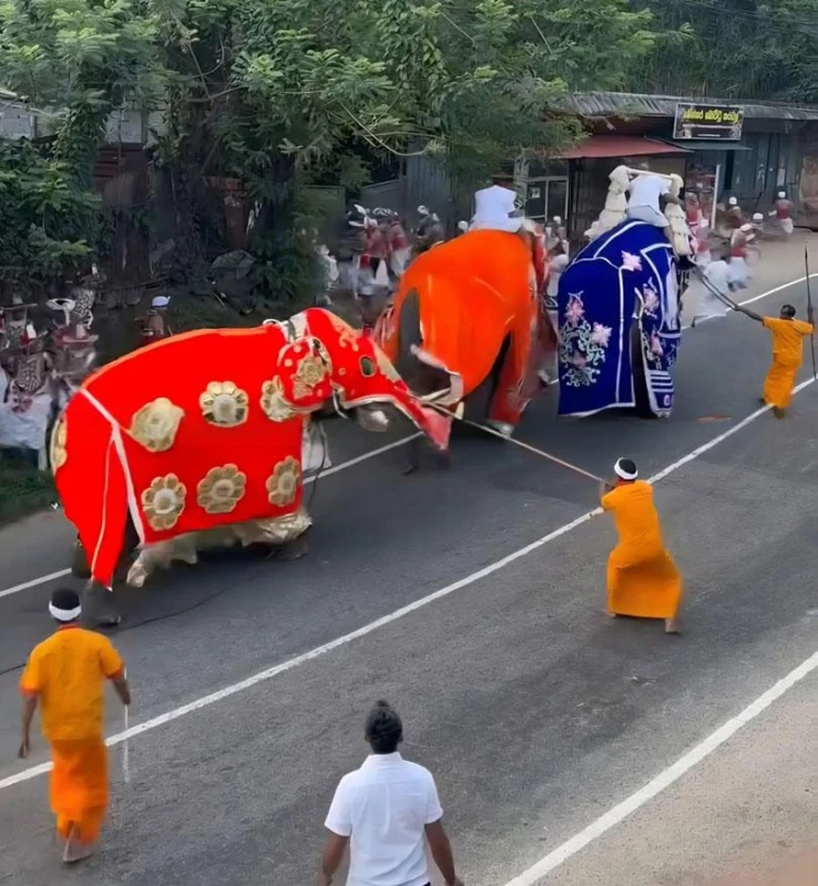 news-2025-12-30-084558