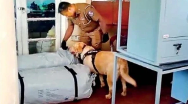 news-2025-12-30-091307