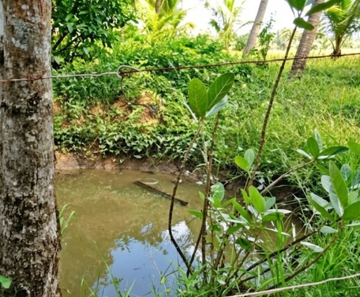 news-2025-12-31-063418