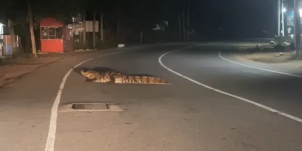 news-2025-12-31-192610