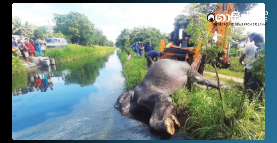 elephant-falls-pimburaattawa-canal