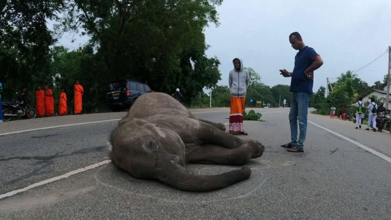 news-2026-01-09-093608