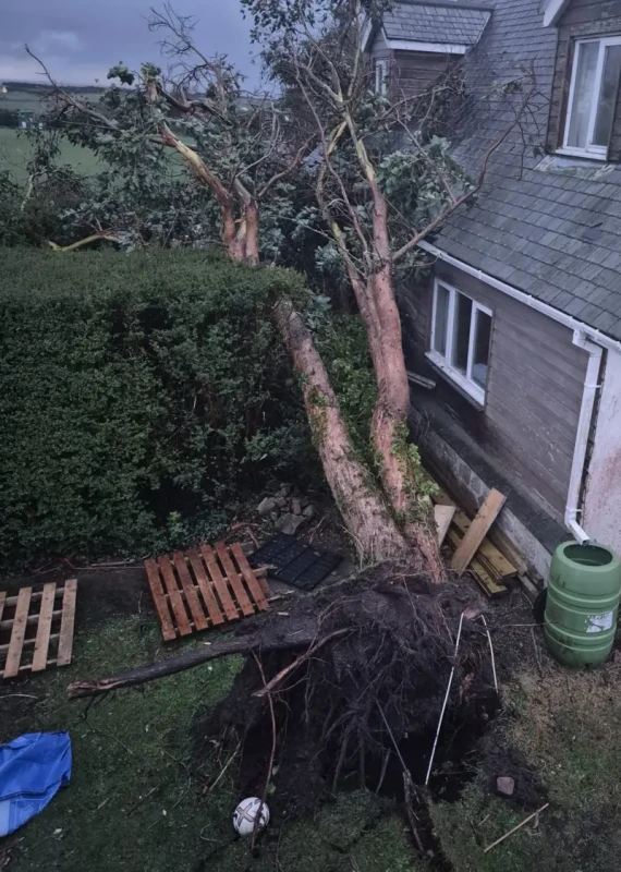 news-2026-01-09-134744