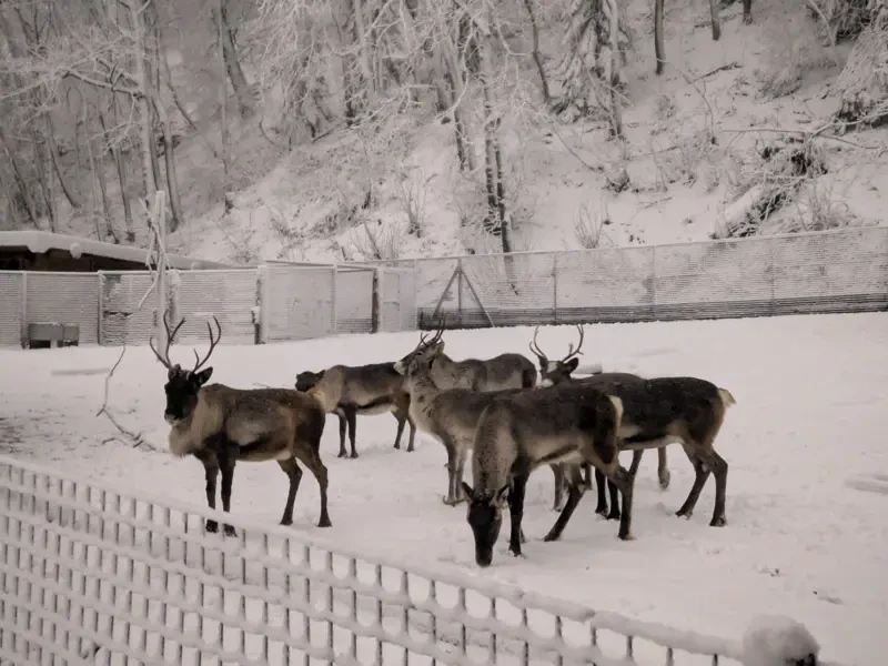 news-2026-01-09-134744