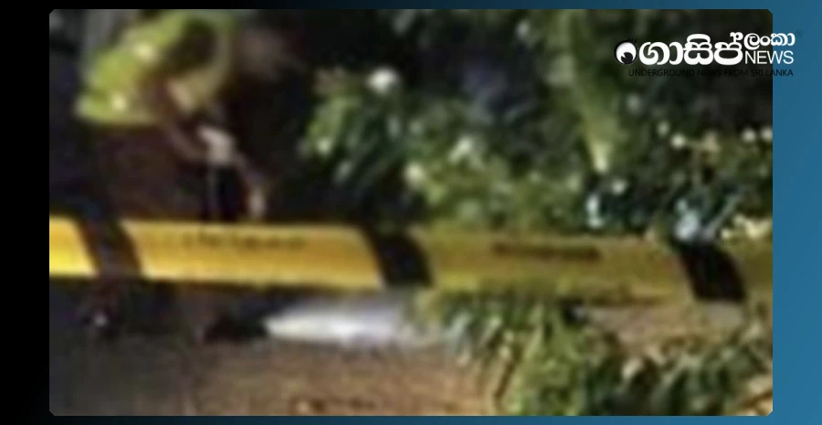 one-person-killed-in-shooting-in-jinthupitiya