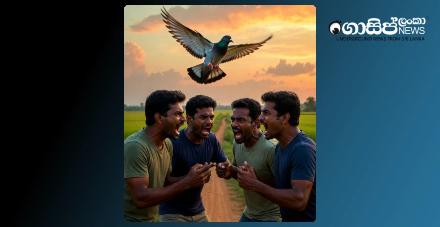 pigeon-dispute-escalates-into-murder