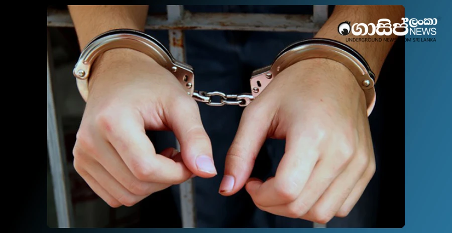 the-millionaire-businessman-who-exposed-a-maid-and-distributed-the-video-is-remanded