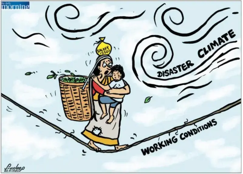 gossiplanka image 26