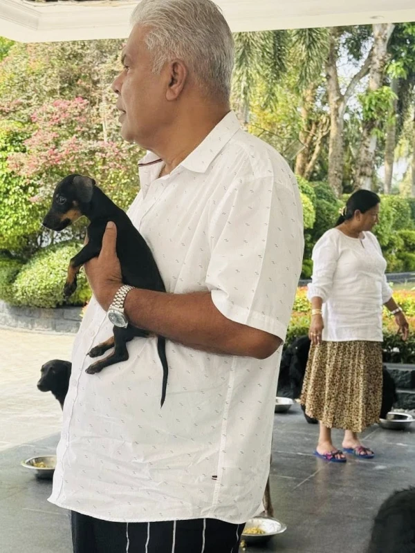 new-story-about-the-70-million-fine-dogs-and-dudleys-rolls-royce