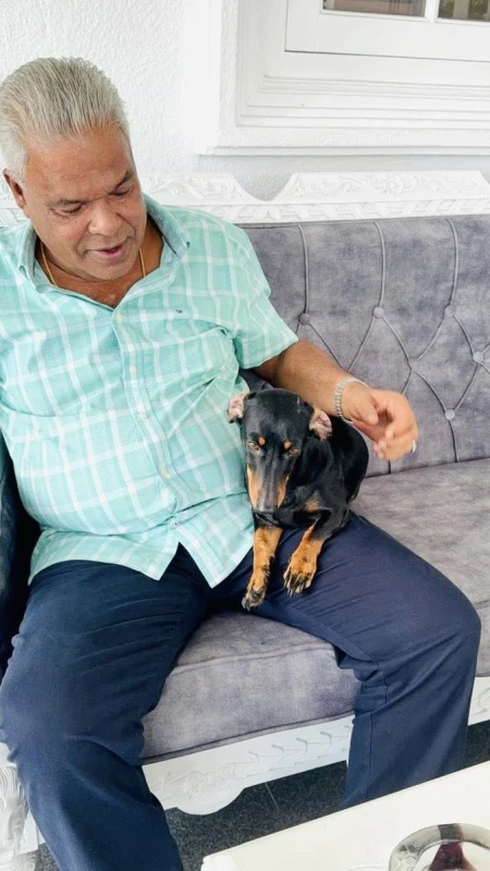 new-story-about-the-70-million-fine-dogs-and-dudleys-rolls-royce