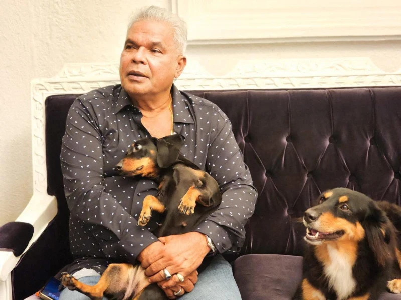 new-story-about-the-70-million-fine-dogs-and-dudleys-rolls-royce