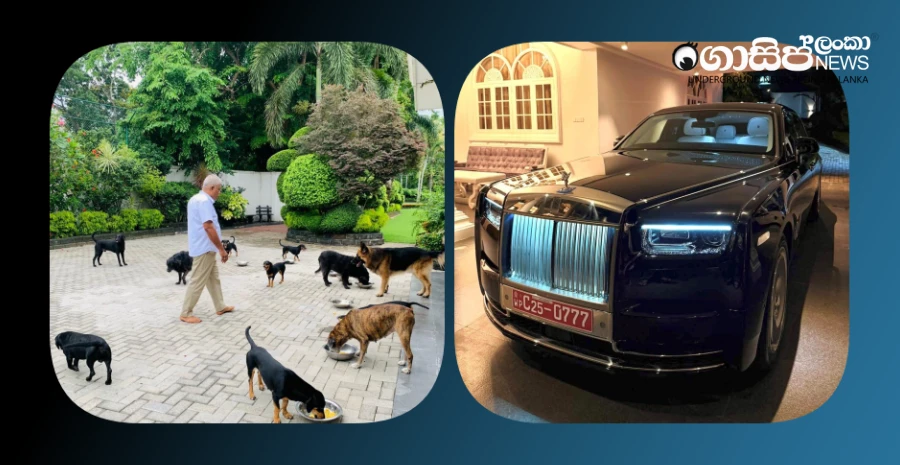 new-story-about-the-70-million-fine-dogs-and-dudleys-rolls-royce