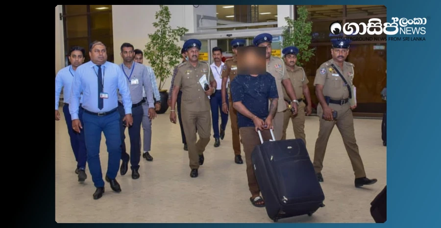 arrested-banana-bugs-brought-from-dubai