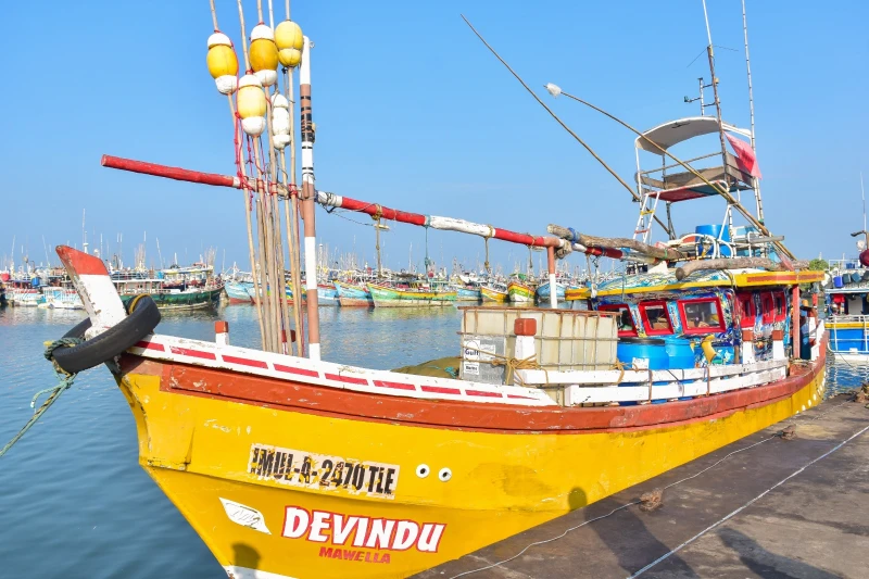 11-suspects-were-caught-with-296-kg-of-drugs-from-the-southern-coast