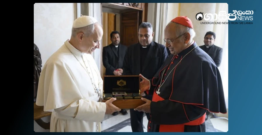 cardinal-malcolm-ranjith-meets-the-pope