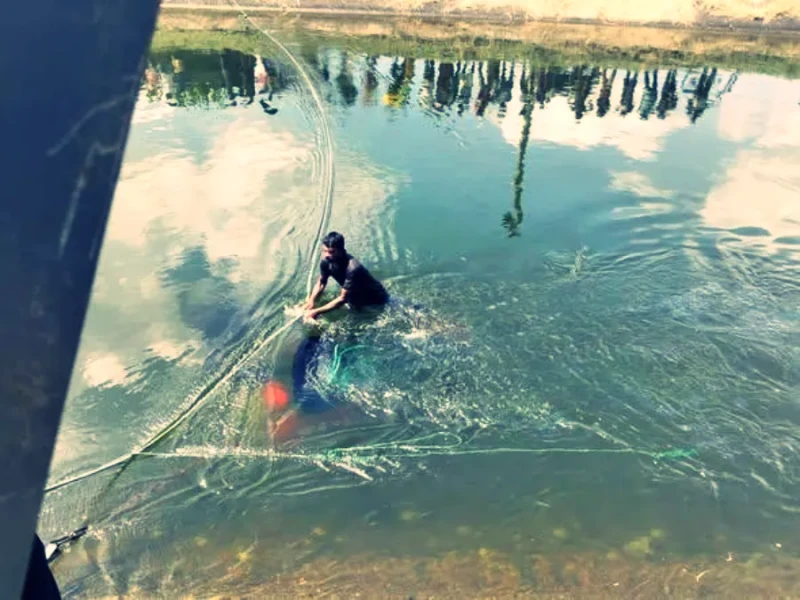 the-tractor-fell-into-the-maduru-oya-zd-canal-and-the-drivers-life-was-saved-photos