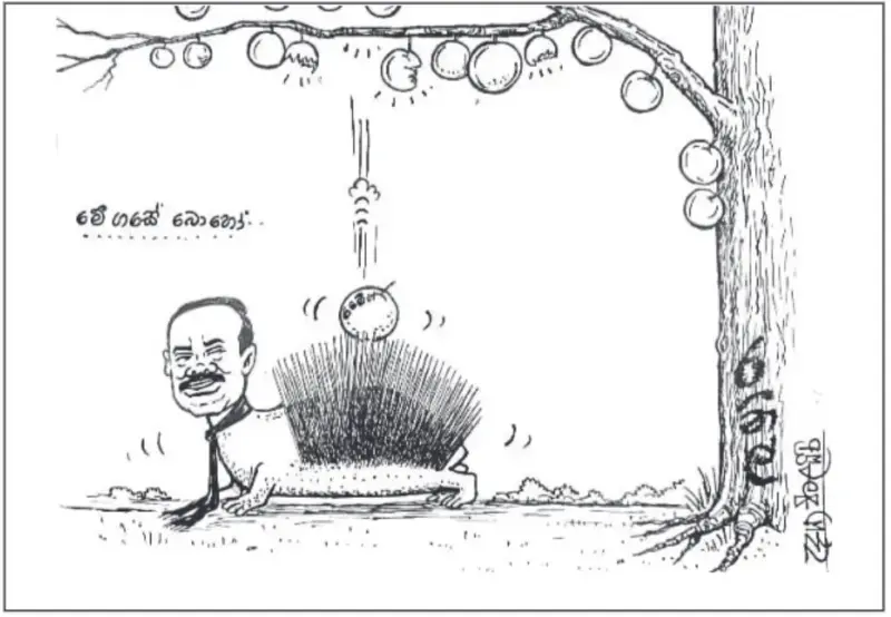 gossiplanka image 24