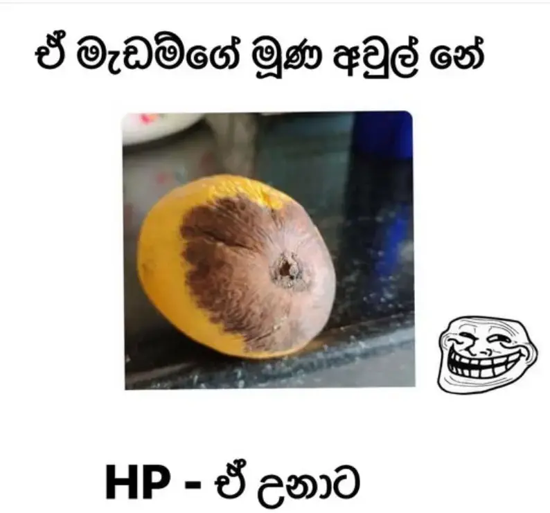 gossiplanka image 10