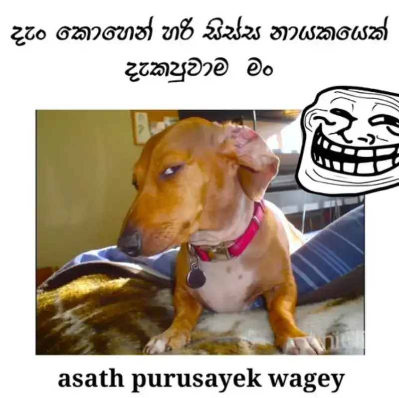 gossiplanka image 12