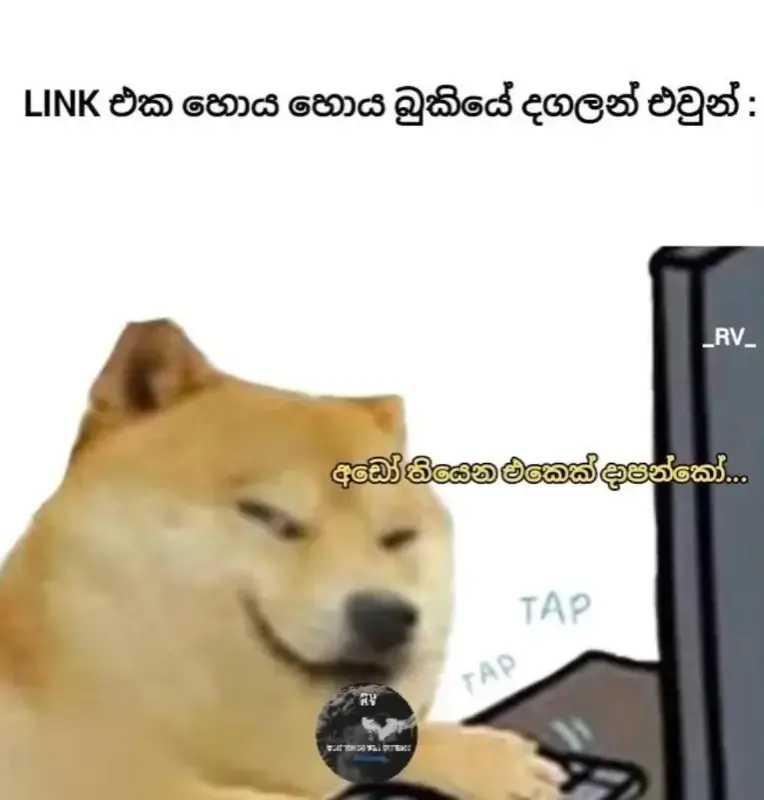 gossiplanka image 22