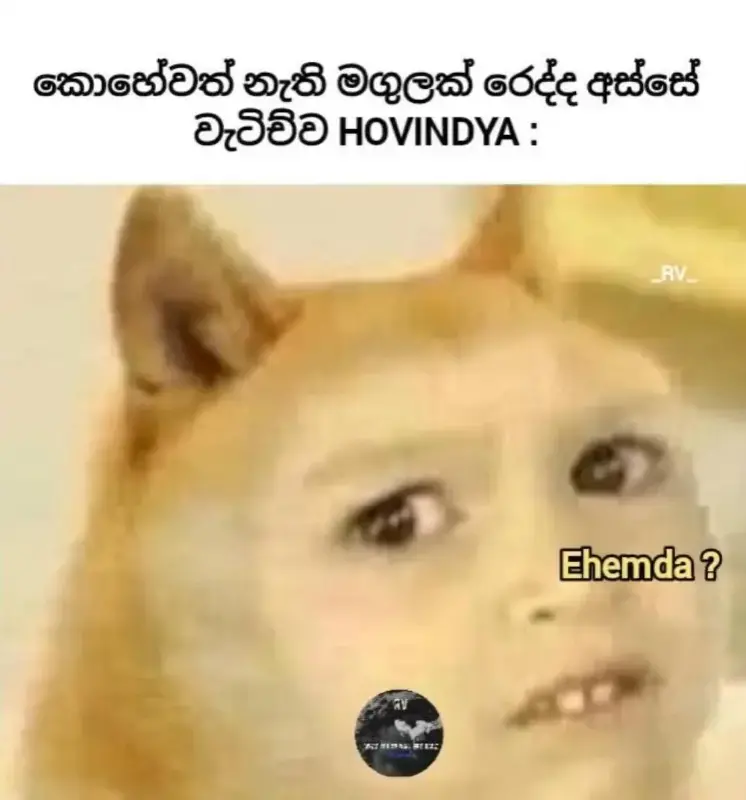 gossiplanka image 25