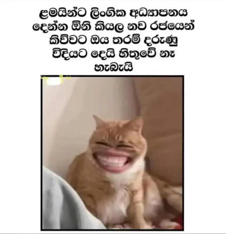 gossiplanka image 34