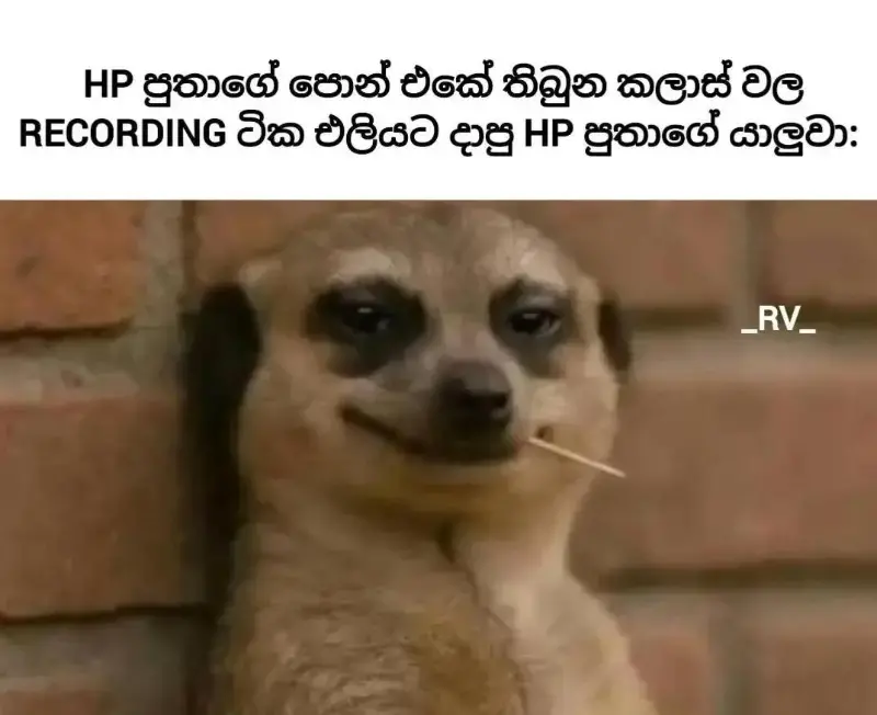 gossiplanka image 51