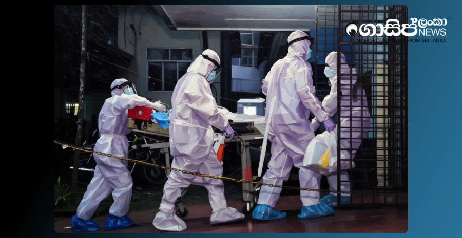 is-sri-lanka-at-risk-of-nipah-virus