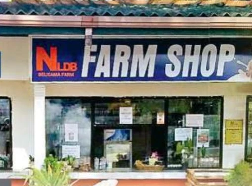 killed-the-guard-of-the-galewela-farm-and-cleaned-the-dairy