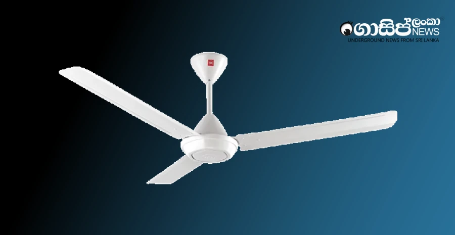 a-fake-fan-from-japanese-label-kdk-is-out