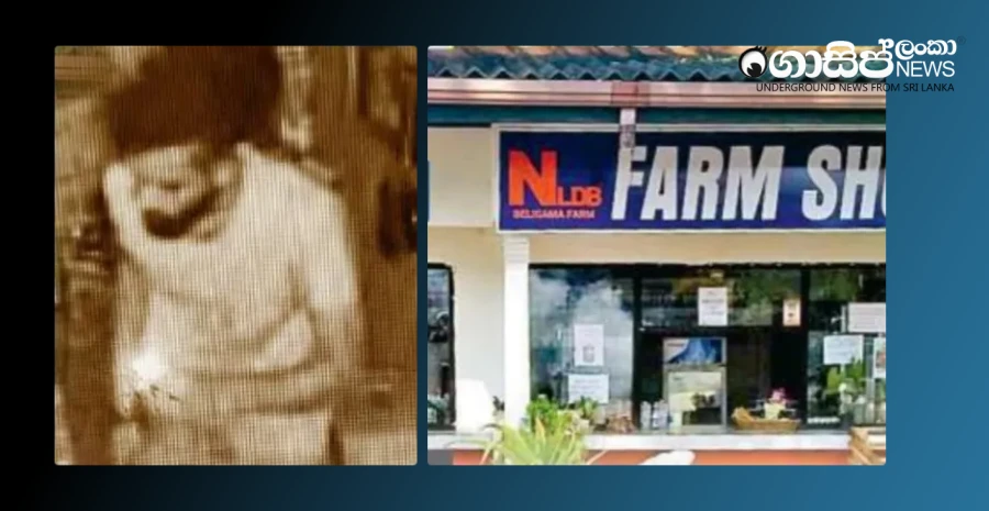 killed-the-guard-of-the-galewela-farm-and-cleaned-the-dairy